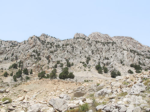 Blick auf Felsformation auf Bergkamm